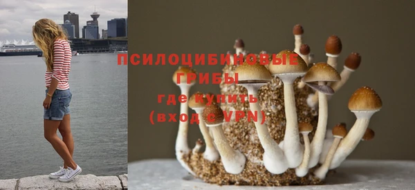a pvp Алексеевка