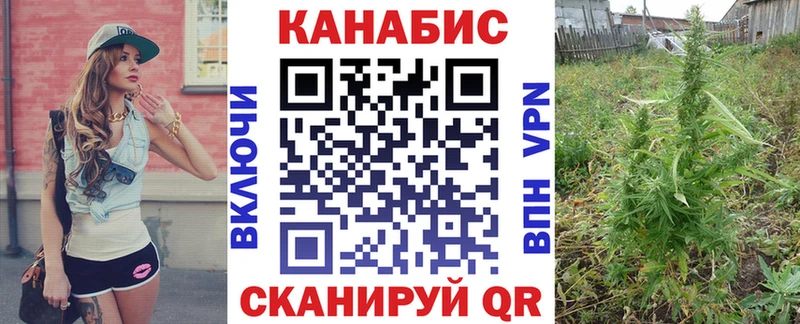 блэк спрут Магадан Бошки марихуана конопля купить наркотики сайты